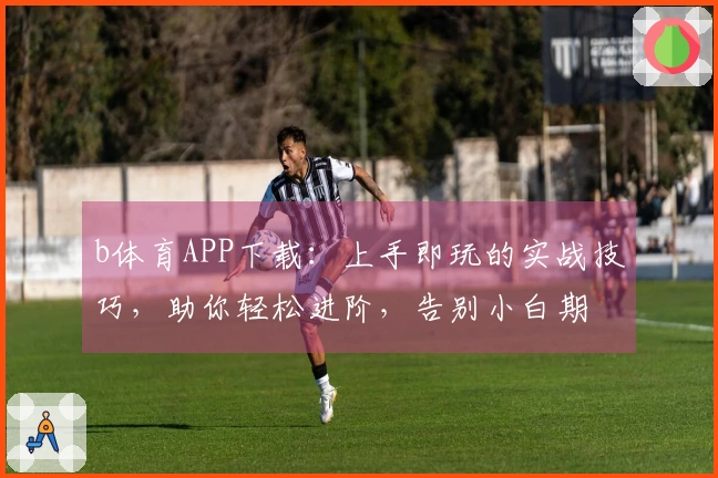 b体育APP下载：上手即玩的实战技巧，助你轻松进阶，告别小白期